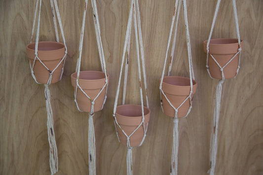 Multiple Plant Hanger | Plant Wall Hanger | Plant Hanger | Wall Decor | Hanging Plant | Plant Decor | Wall Plant Hanger | Succulent Holder