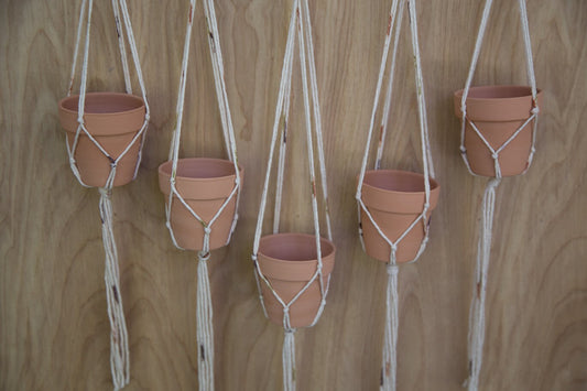 Multiple Plant Hanger | Plant Wall Hanger | Plant Hanger | Wall Decor | Hanging Plant | Plant Decor | Wall Plant Hanger | Succulent Holder