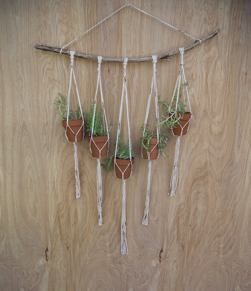 Multiple Plant Hanger | Plant Wall Hanger | Plant Hanger | Wall Decor | Hanging Plant | Plant Decor | Wall Plant Hanger | Succulent Holder