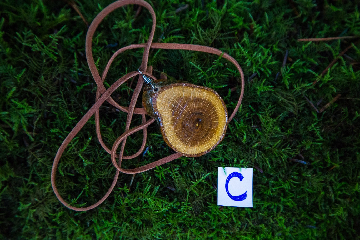 Wood Slice Necklace