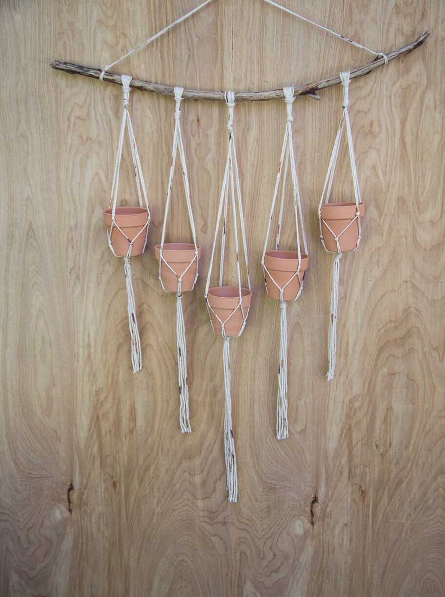Multiple Plant Hanger | Plant Wall Hanger | Plant Hanger | Wall Decor | Hanging Plant | Plant Decor | Wall Plant Hanger | Succulent Holder