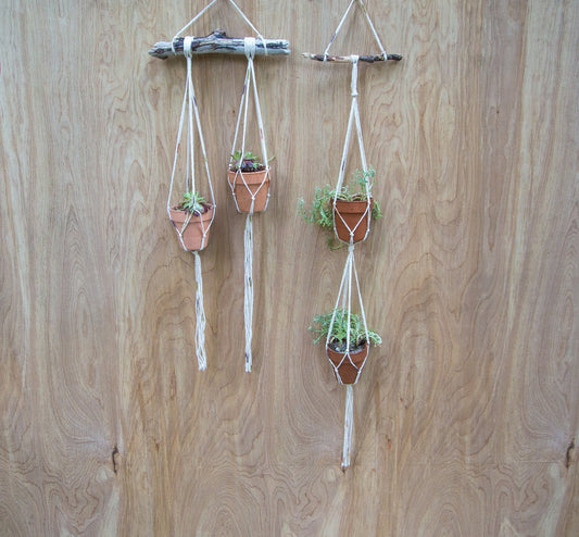 Tiny Double Plant or Succulent Hanger