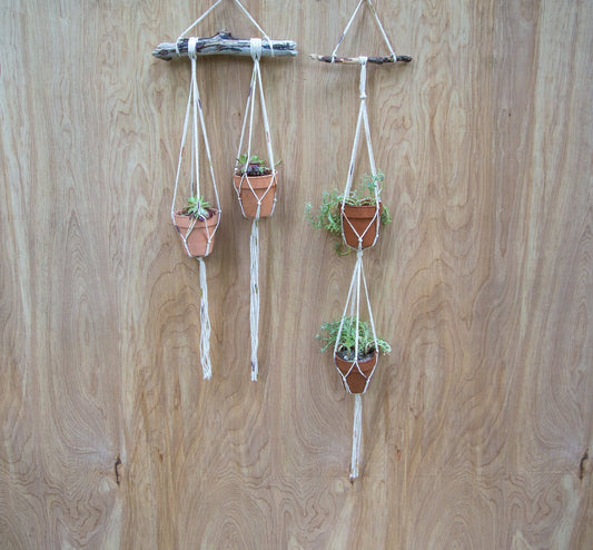Tiny Plant Hangers | Double Plant Hanger | Wall Plant Hanger | Plant Wall Hanger | Succulent Holder | Hanging Planter | Home Decor