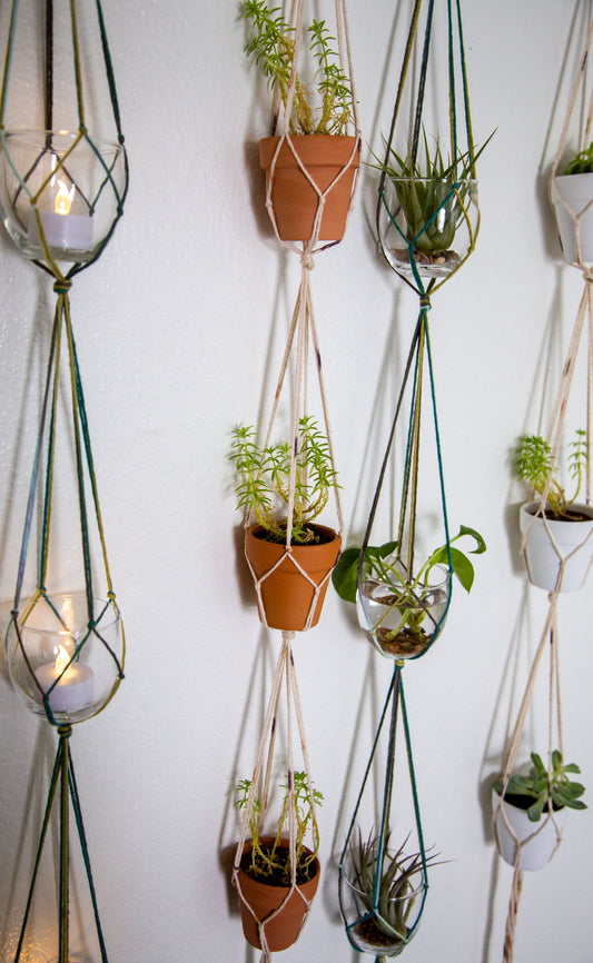 Triple Plant Hanger / Plant Hanger / Small Plant Hanger / Airplant Hanger / Succulent Hanger / Airplant Holder / Hanging Planter /