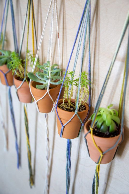 3 Piece Plant Hanger / Plant Hanger / Succulent Holder / Airplant Holder / Small Plant Hanger / Small Plant Holder / Hanging Plant / Planter