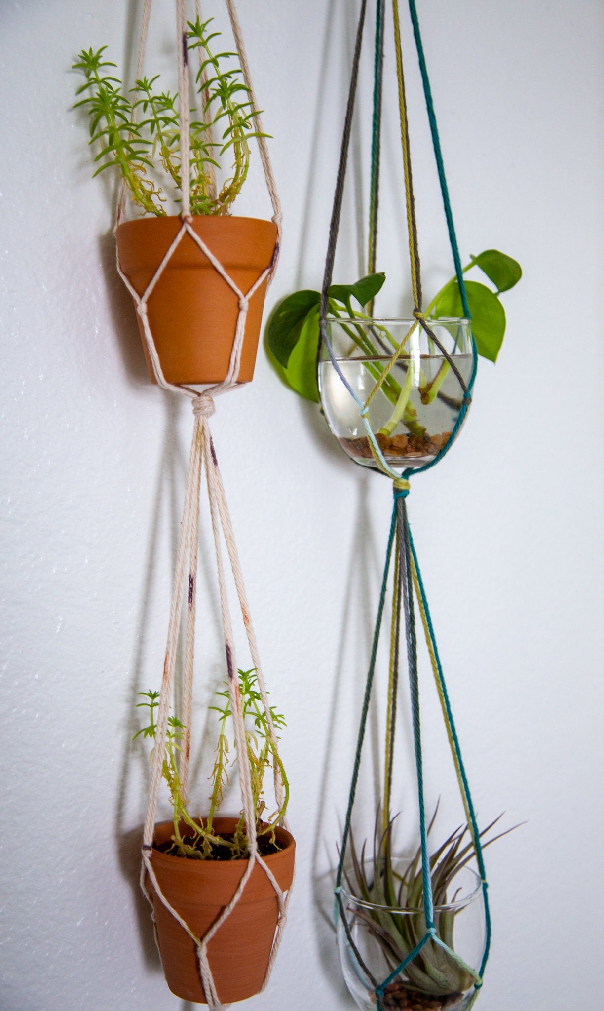 Triple Plant Hanger