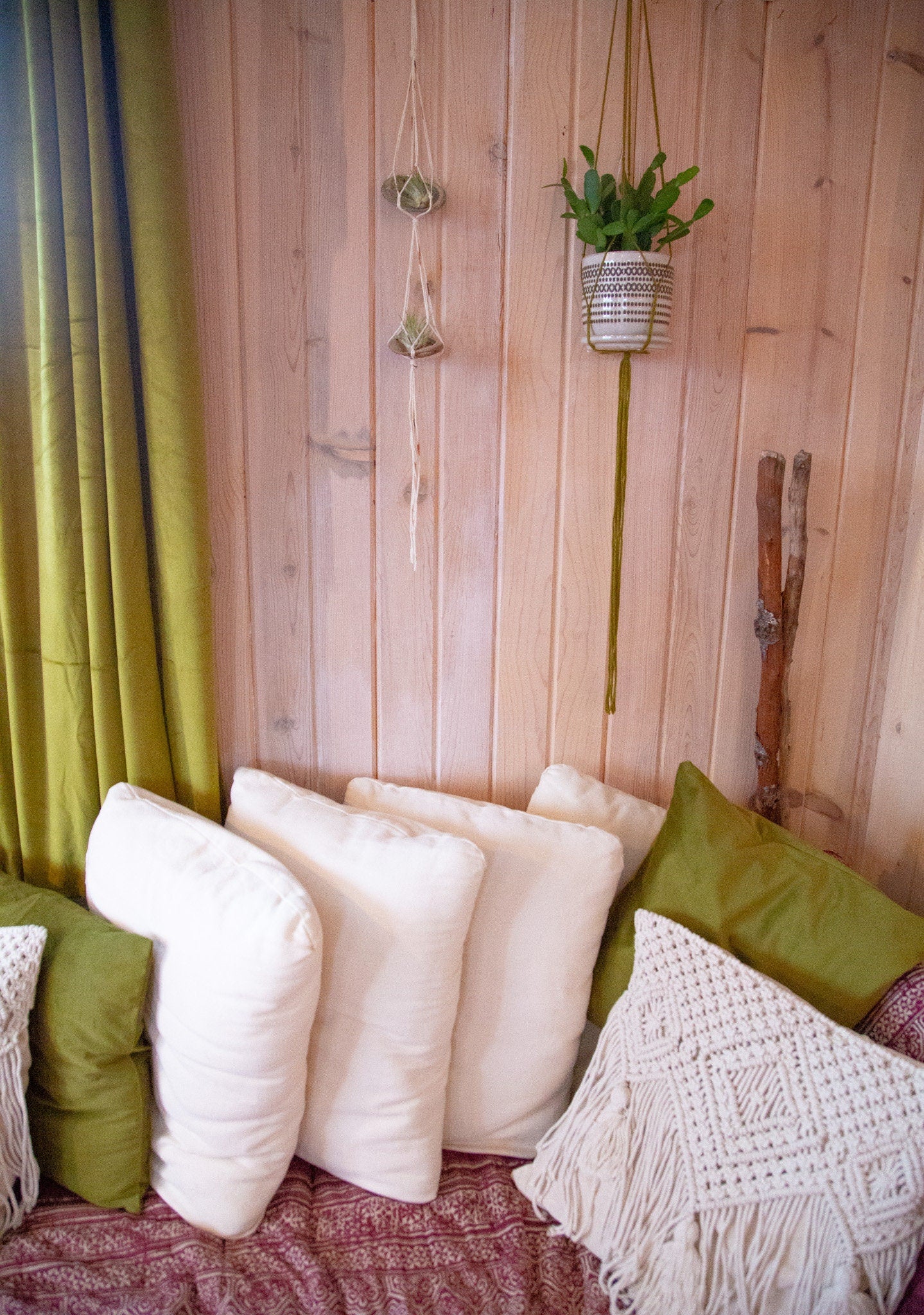 Double Airplant Hanger with Abalone Shells