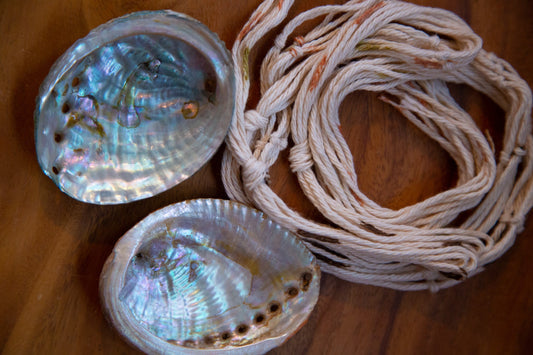 Double Airplant Hanger with Abalone Shells