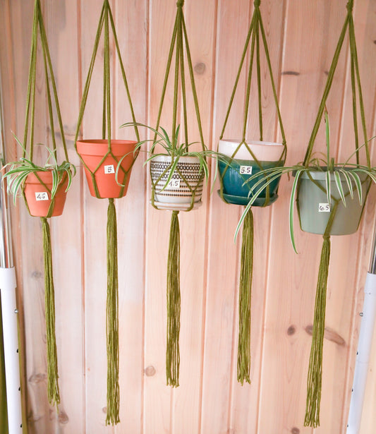 pick a size and quantity plant hanger