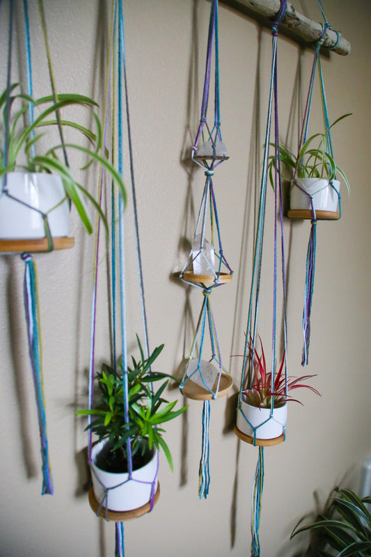 Large Driftwood Quartz Crystal 4 pot hanging planter