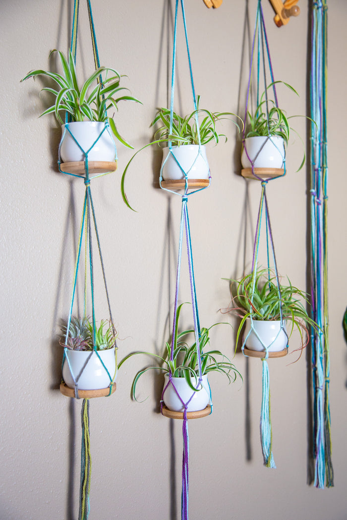Plant hangers