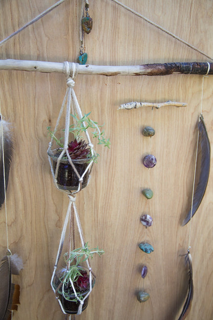 Driftwood Wall Hanging | Plant Holder