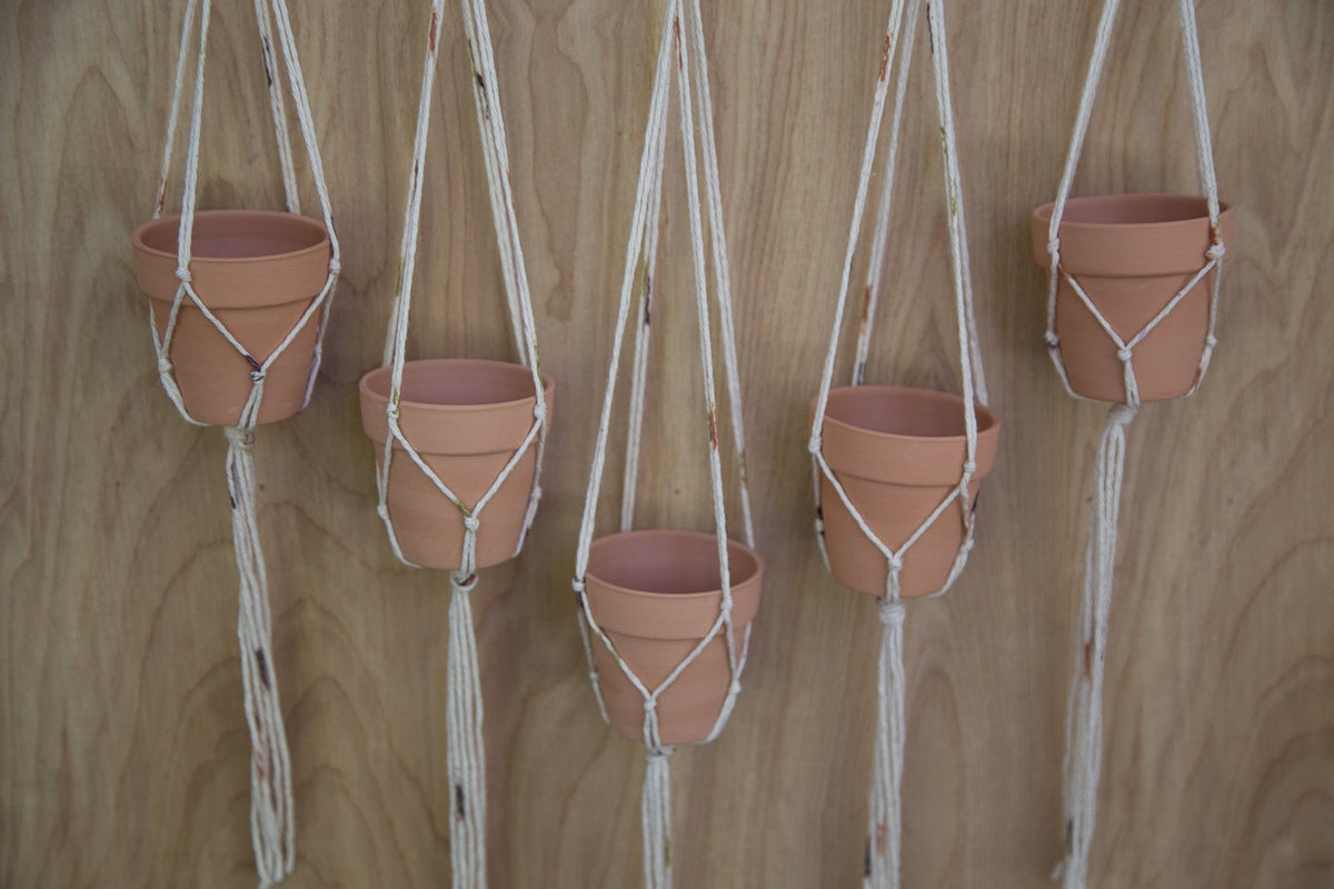 Cotton Branch Plant Hanger