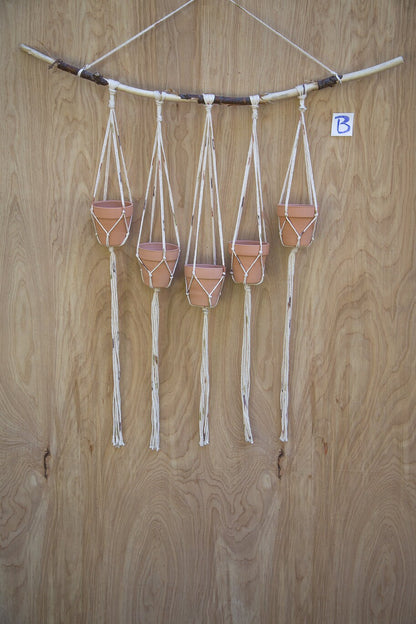 Multiple Plant Hanger |  Plant Wall Hanger | Plant Hanger | Wall Decor | Hanging Plant | Plant Decor | Wall Plant Hanger | Succulent Holder