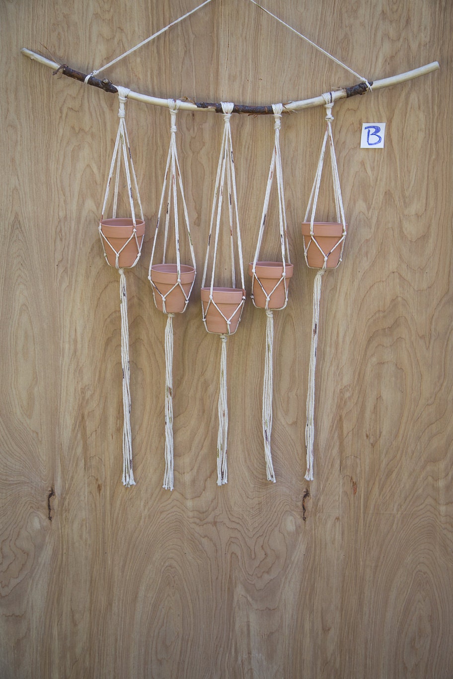 Multiple Plant Hanger |  Plant Wall Hanger | Plant Hanger | Wall Decor | Hanging Plant | Plant Decor | Wall Plant Hanger | Succulent Holder