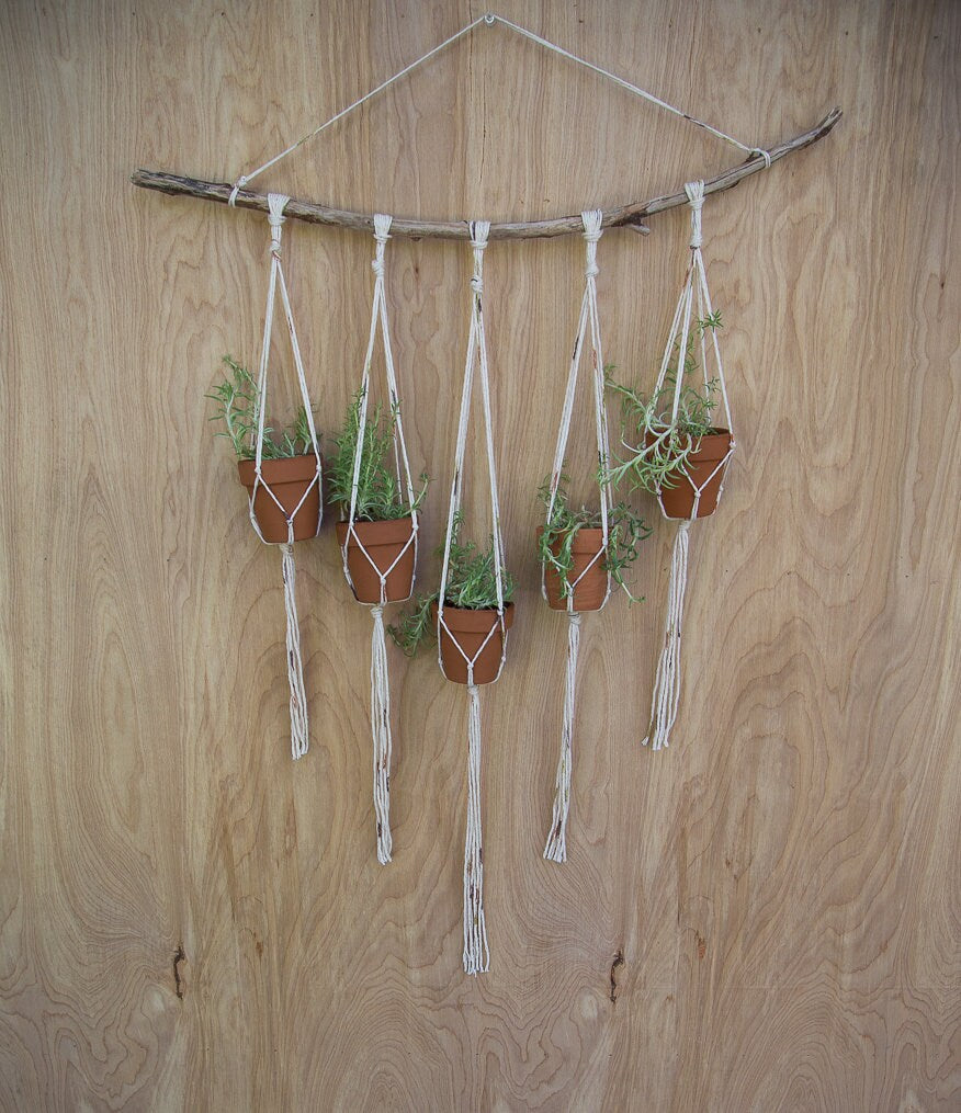Cotton Branch Plant Hanger
