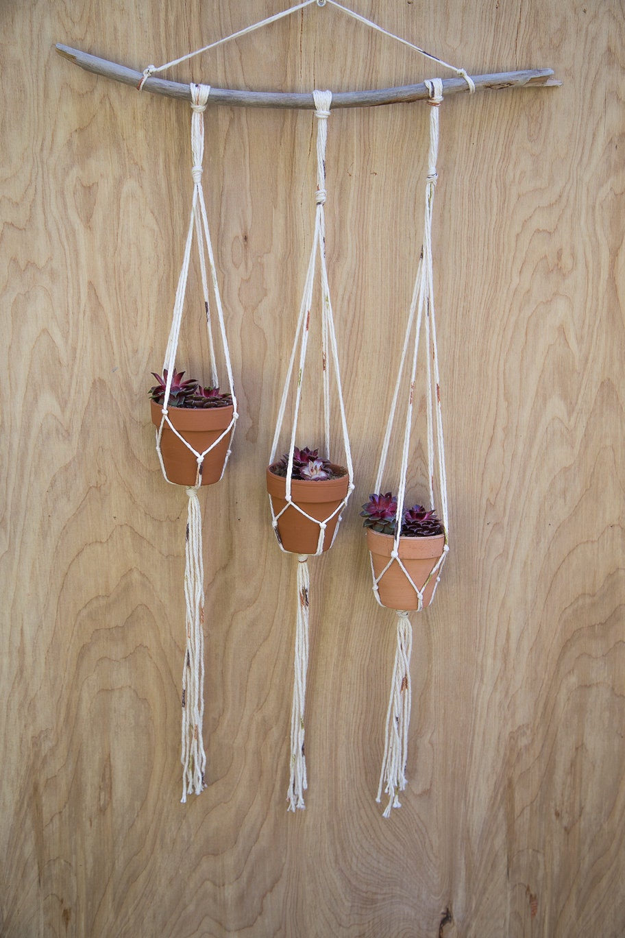 Small Plant Hanger with Terra Cotta Pots