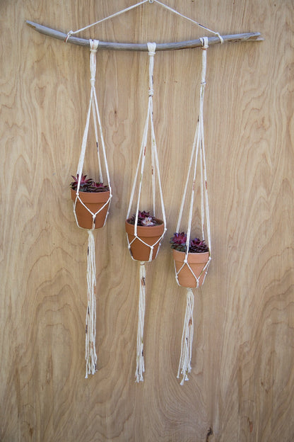 Small Plant Hanger with Terra Cotta Pots