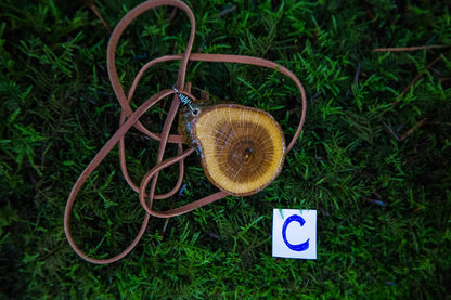 Wood Slice Necklace/ Wood Necklace/ Wood Slice Jewelry/ Wood Jewelry/ Handcrafted Wood Necklace/ Earth Jewelry/ Boho Necklace