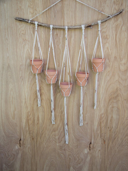 Multiple Plant Hanger |  Plant Wall Hanger | Plant Hanger | Wall Decor | Hanging Plant | Plant Decor | Wall Plant Hanger | Succulent Holder