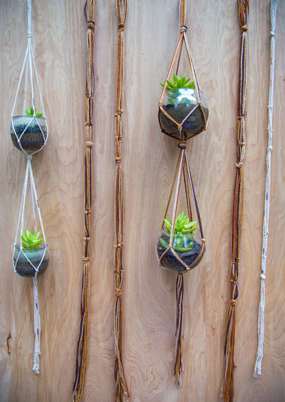 Double Plant Hanger