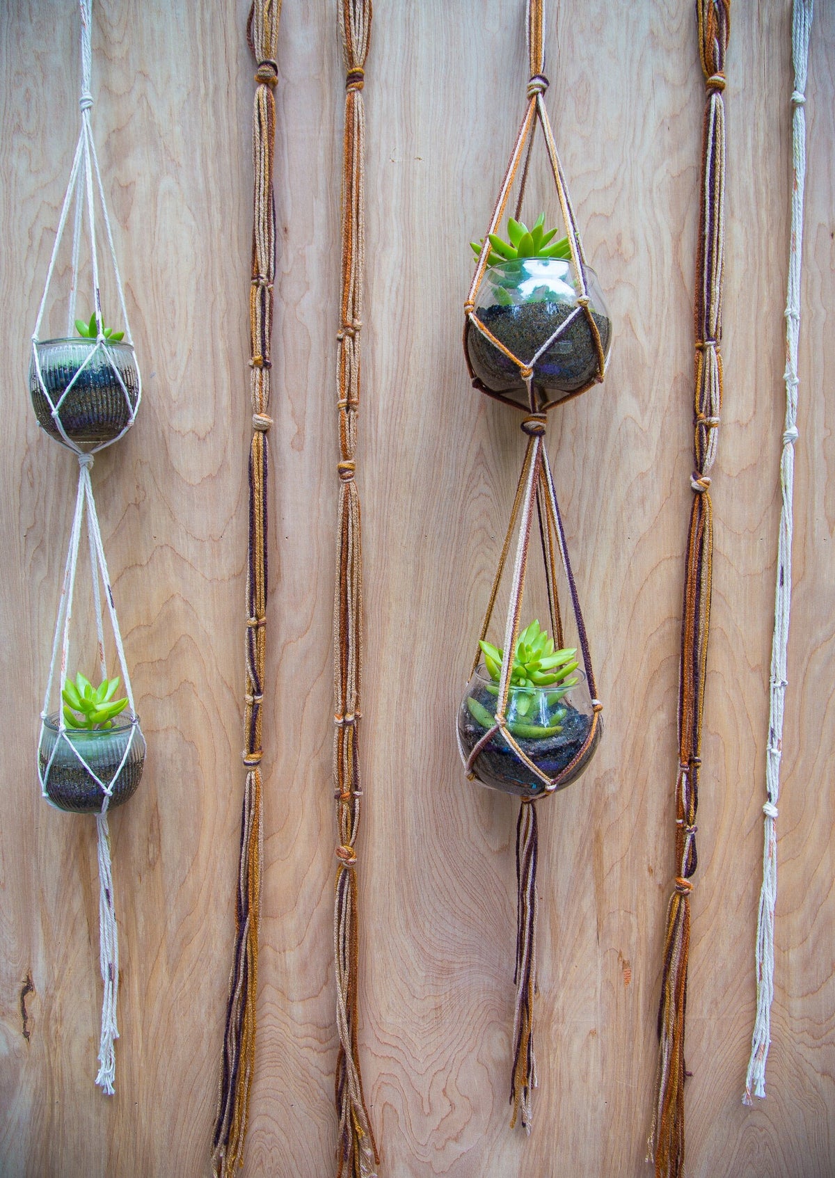 Double Plant Hanger