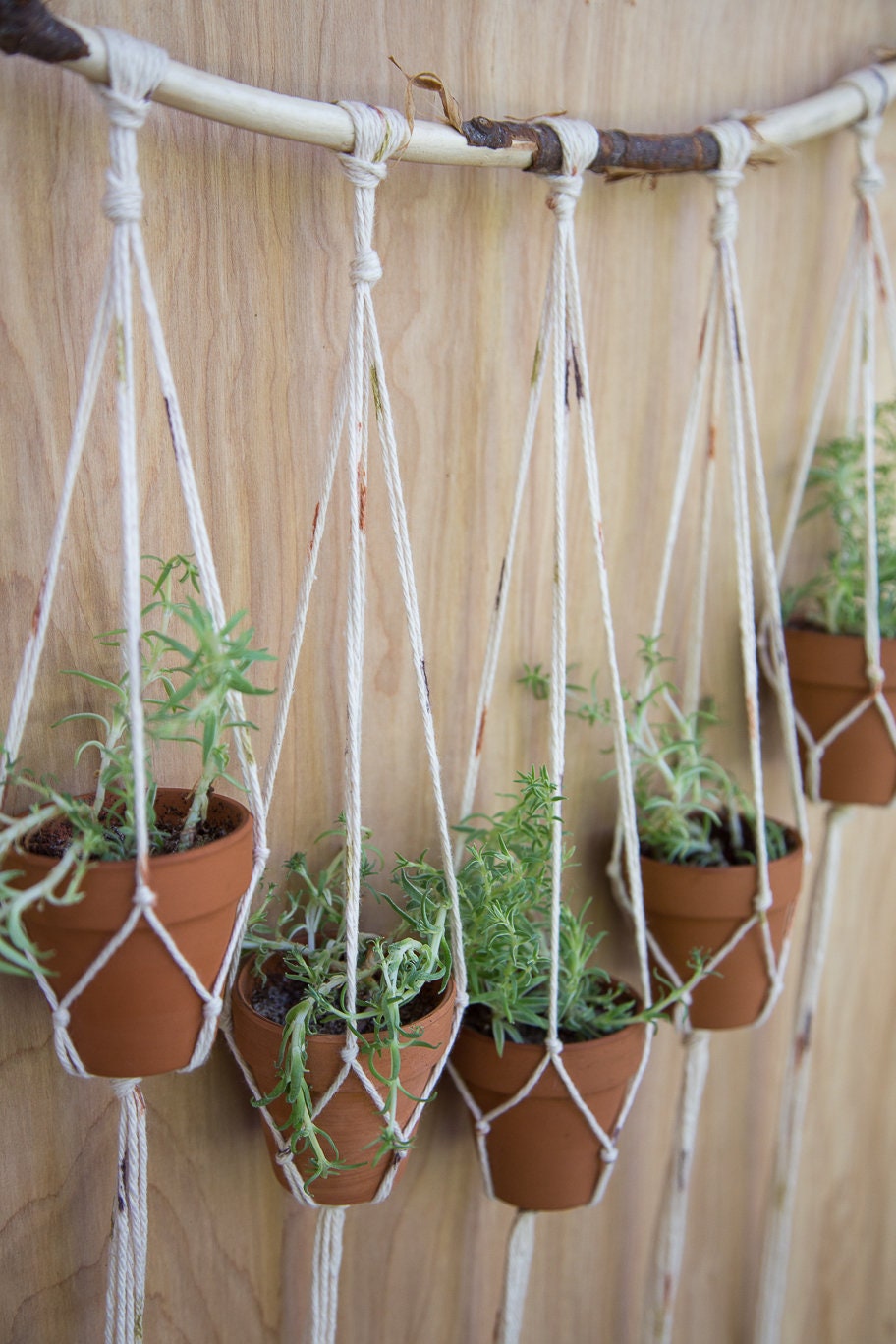 Cotton Branch Plant Hanger
