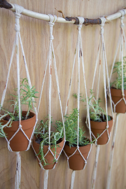 Multiple Plant Hanger |  Plant Wall Hanger | Plant Hanger | Wall Decor | Hanging Plant | Plant Decor | Wall Plant Hanger | Succulent Holder