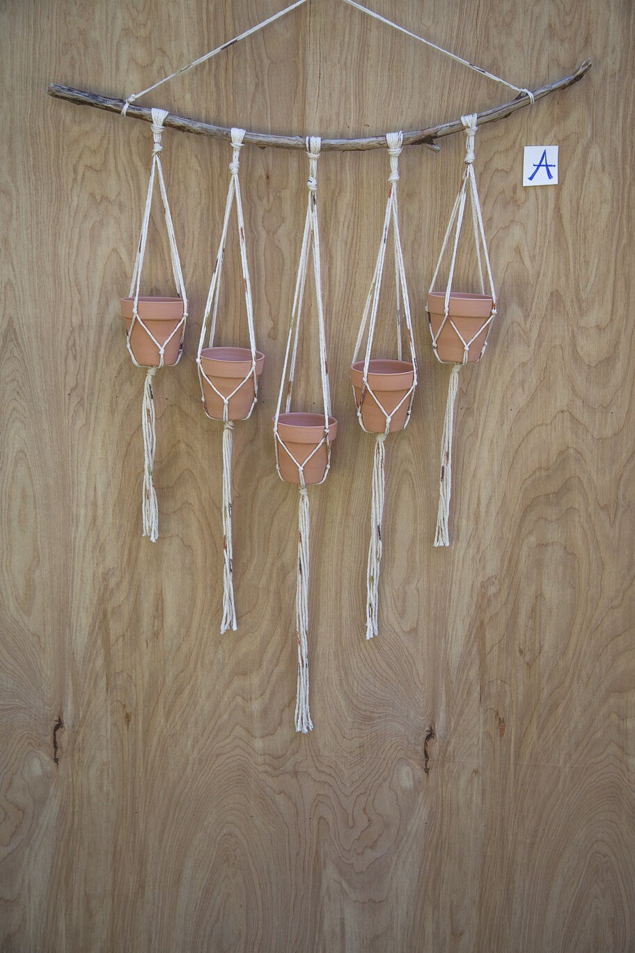 Cotton Branch Plant Hanger