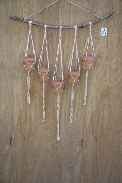 Multiple Plant Hanger |  Plant Wall Hanger | Plant Hanger | Wall Decor | Hanging Plant | Plant Decor | Wall Plant Hanger | Succulent Holder