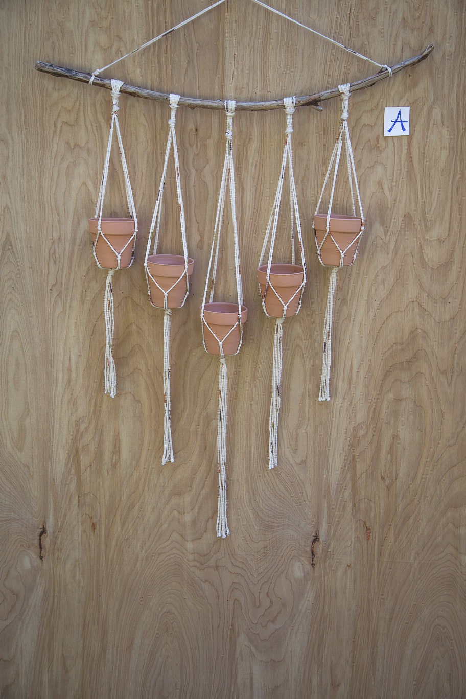 Multiple Plant Hanger |  Plant Wall Hanger | Plant Hanger | Wall Decor | Hanging Plant | Plant Decor | Wall Plant Hanger | Succulent Holder
