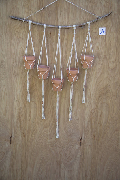Multiple Plant Hanger |  Plant Wall Hanger | Plant Hanger | Wall Decor | Hanging Plant | Plant Decor | Wall Plant Hanger | Succulent Holder