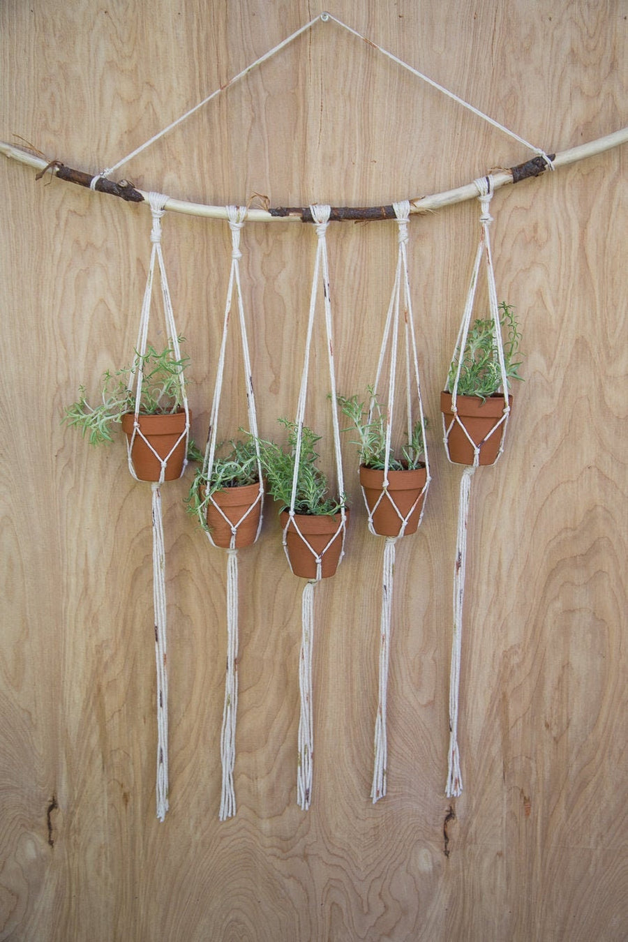 Cotton Branch Plant Hanger