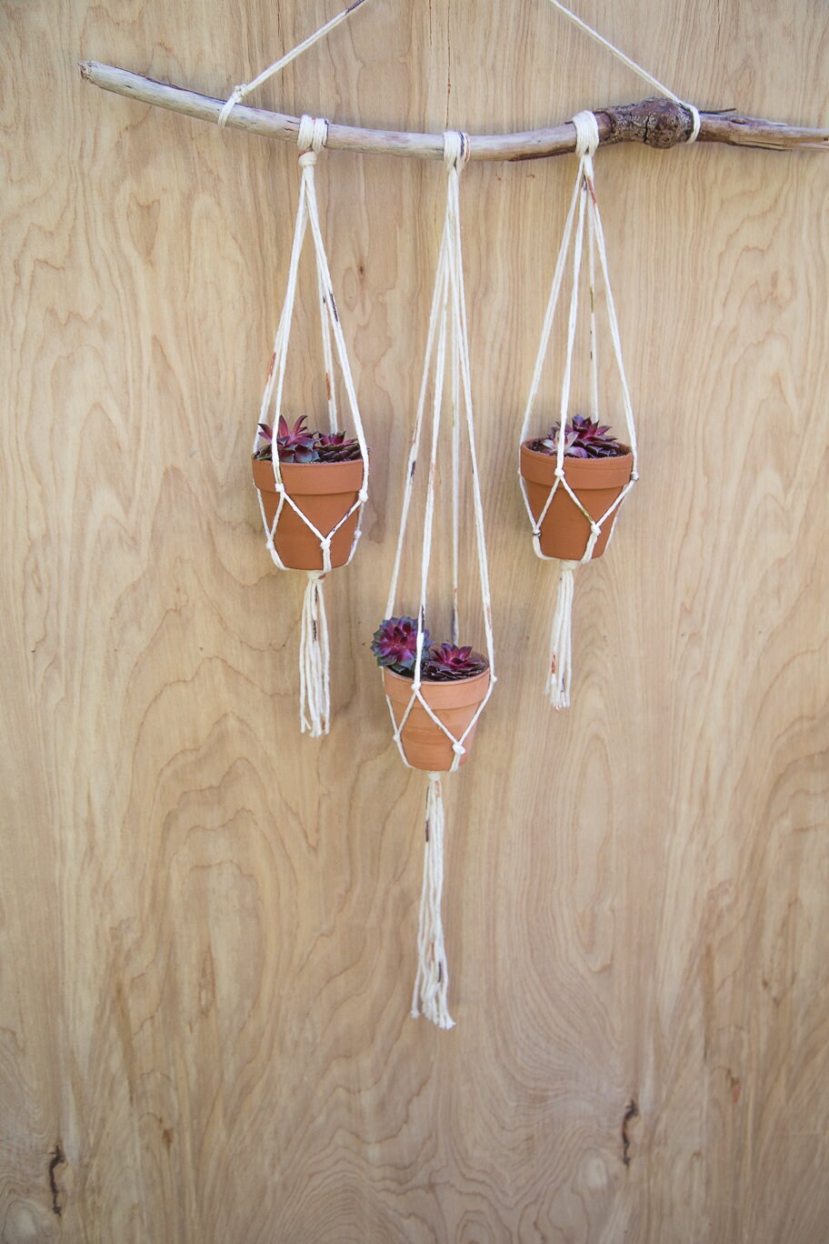 Small Plant Hanger with Terra Cotta Pots