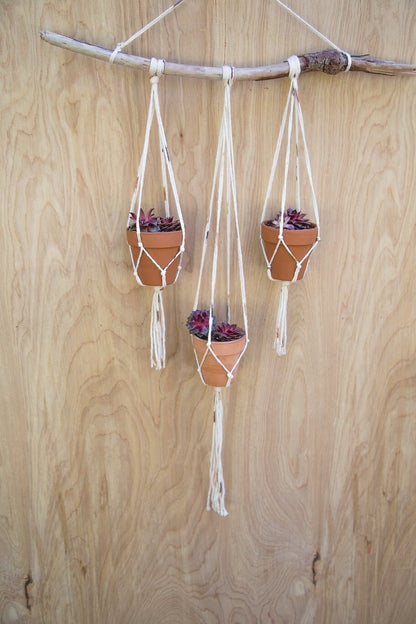 Small Plant Hanger with Terra Cotta Pots