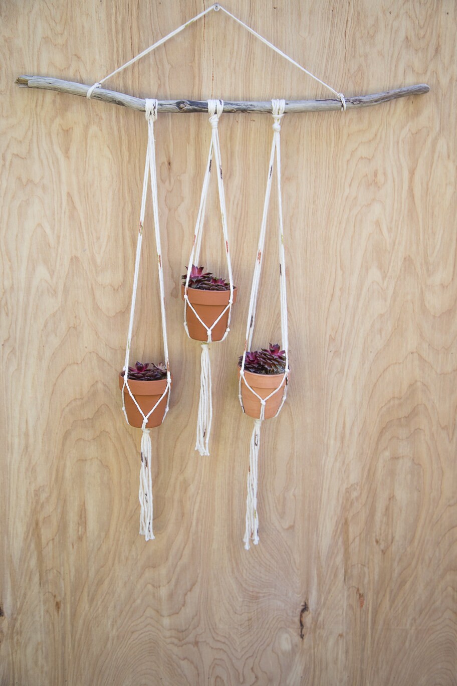 Small Plant Hanger with Terra Cotta Pots