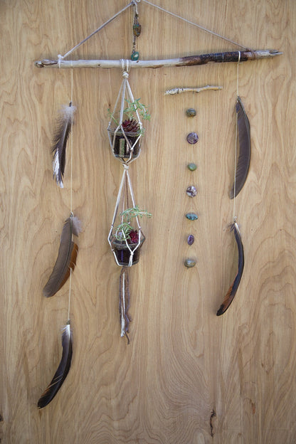 Driftwood Wall Hanging | Plant Holder