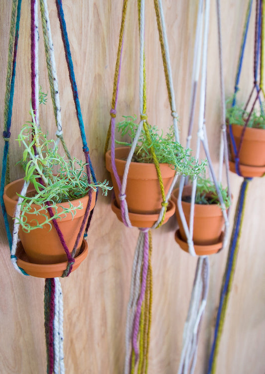 Plant Hanger / Succulent Holder / Small Plant Hanger / Small Plant Holder / Hanging Plant Holder / Hand Tied Plant Hanger/ Plant Holder