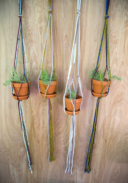 Plant Hanger | Succulent Holder