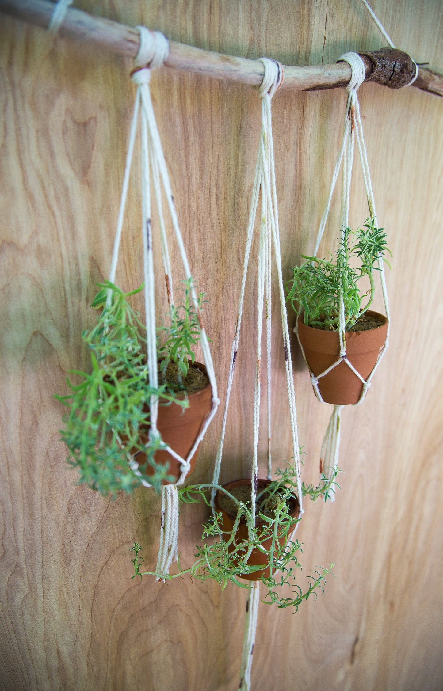 Small Plant Hanger with Terra Cotta Pots