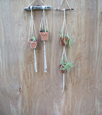 Tiny Double Plant or Succulent Hanger