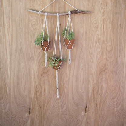 Small Plant Hanger with Terra Cotta Pots