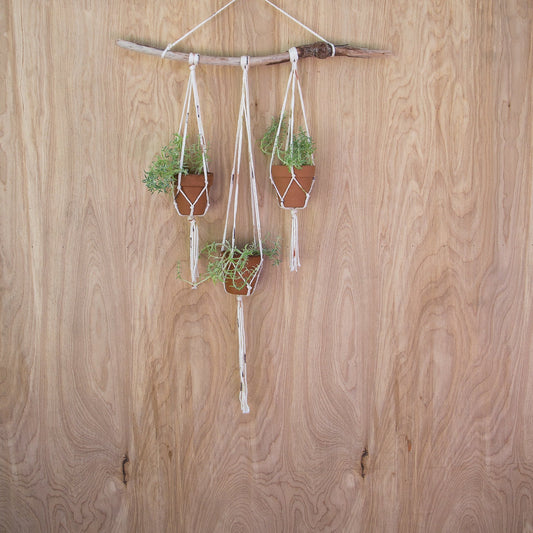 Small Plant Hanger with Terra Cotta Pots