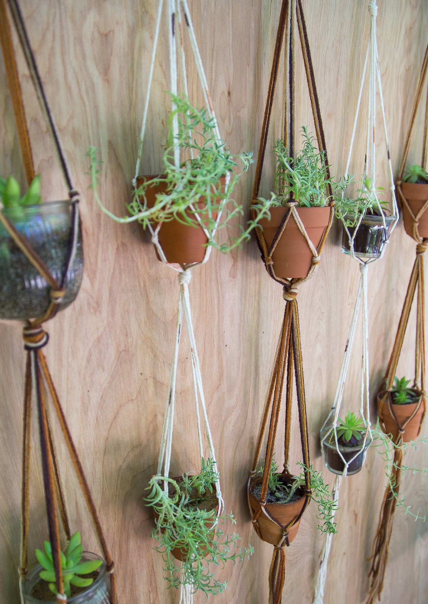 Double Plant Hanger