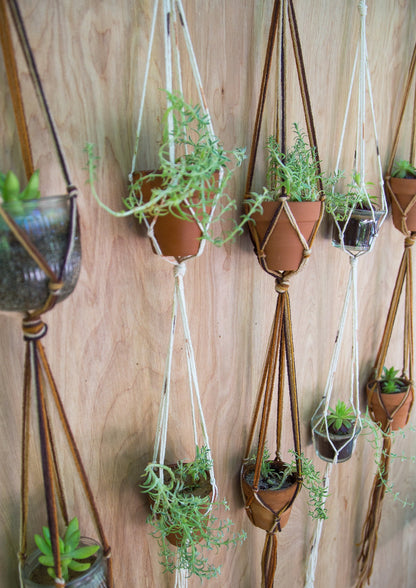 Double Plant Hanger