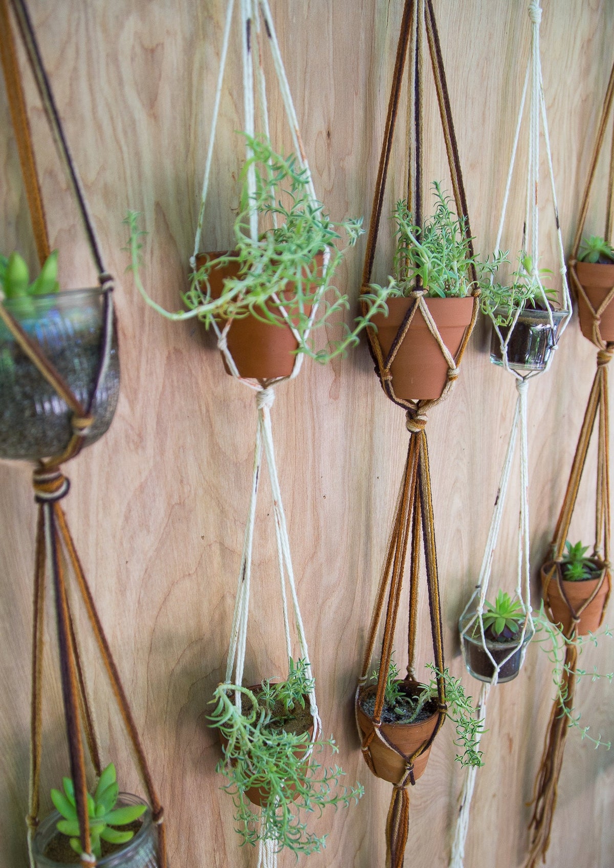 Double Plant Hanger