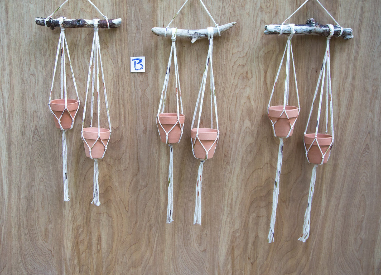 Tiny Double Plant or Succulent Hanger