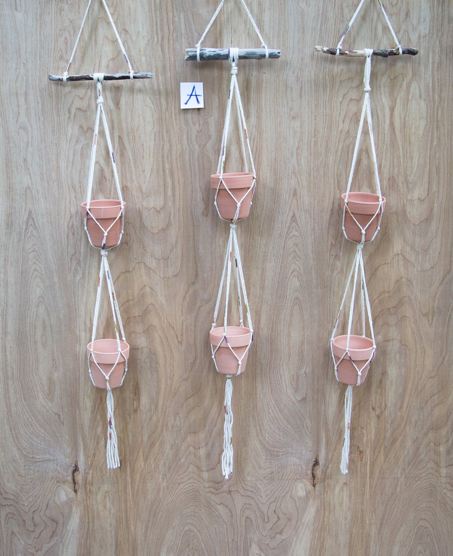 Tiny Double Plant or Succulent Hanger