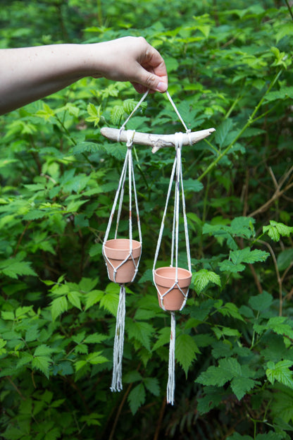 Tiny Double Plant or Succulent Hanger