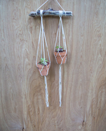 Tiny Double Plant or Succulent Hanger